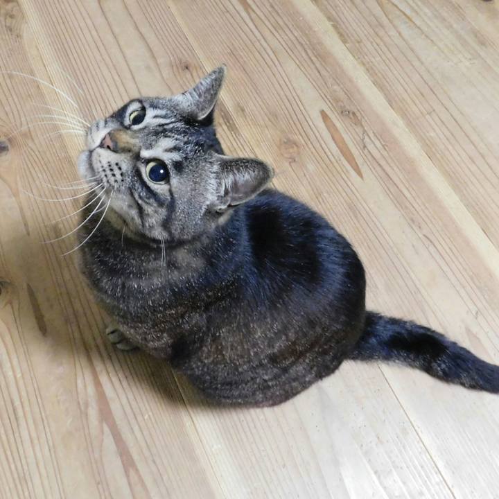 7f96de1d bff4 477c a1ec 85b655eb0d45 1527350030673