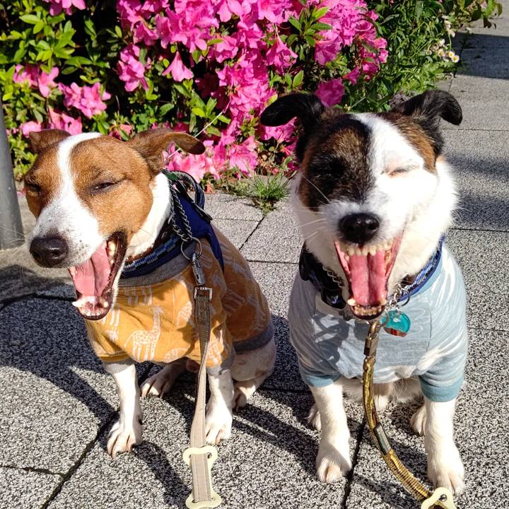 7f971775 d507 4e66 a92e f9cf427df992 1651443266277