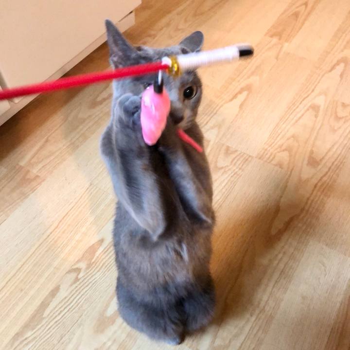 7f973293 9300 4af4 9269 c8292d5f29e0 1590498932070