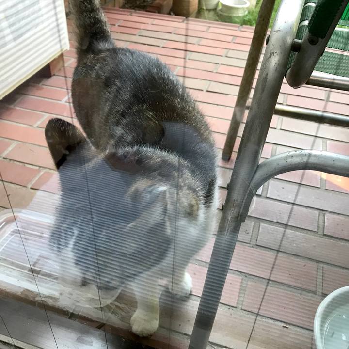 7f976ab8 a29a 49e7 81a3 8e79be4aac12 1534306566581