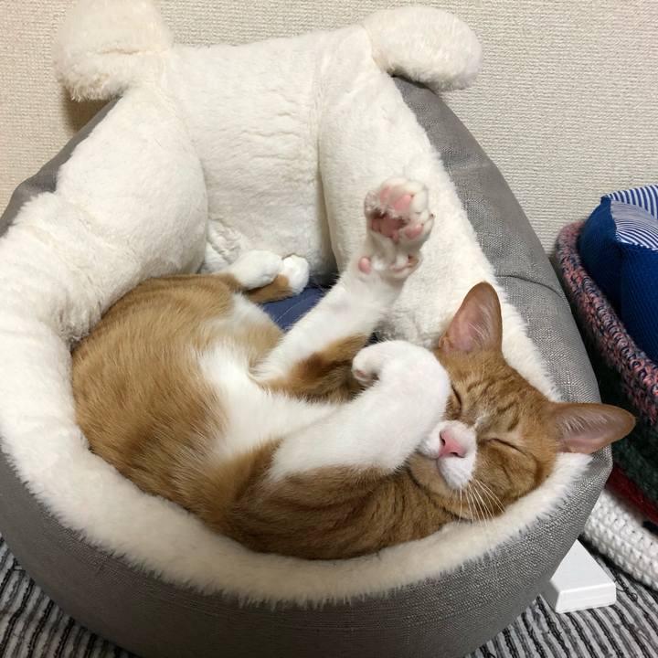 7f9795f4 566c 46f8 b786 6103aac1ac7e 1601074139029