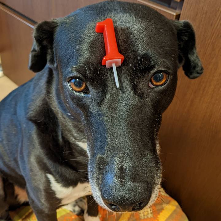 7f97ae95 0470 4d17 b585 3ae6c359eb24 1655810913602