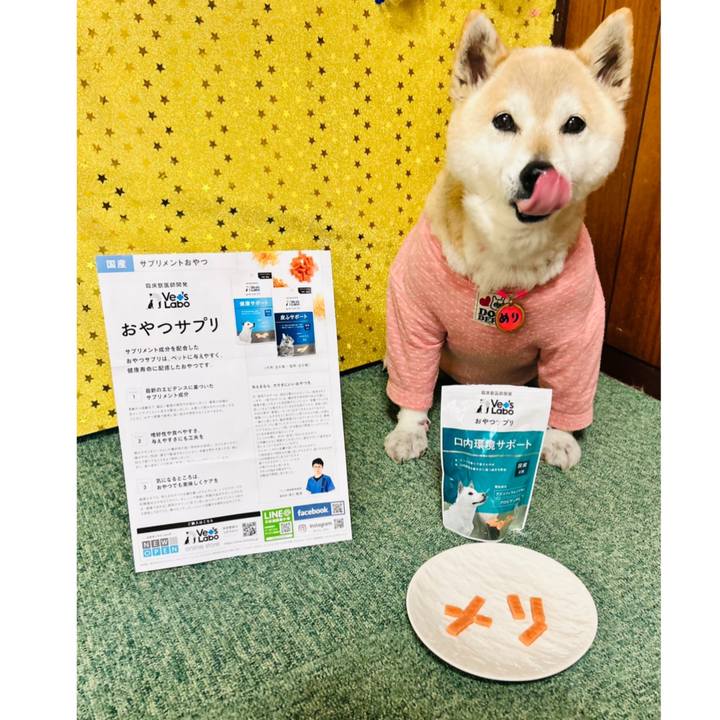 7f97bfe8 167c 4e5b ab48 810d6f1c8374 1746498368510