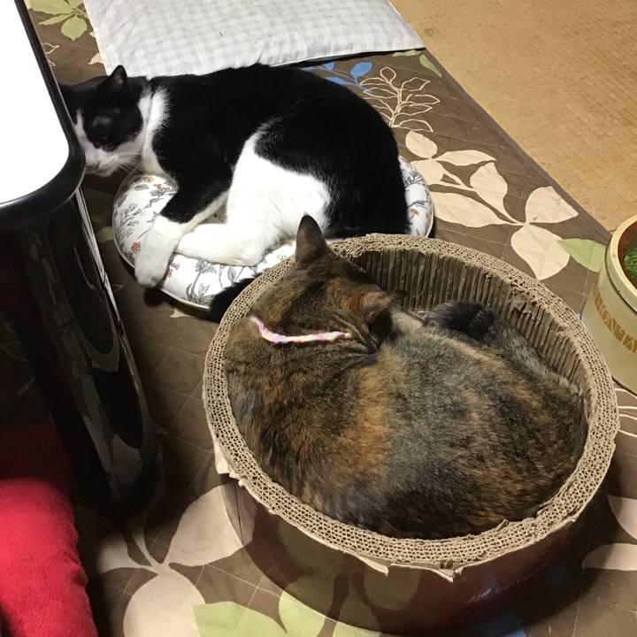 7f97c83f fe9b 430e aed2 87e715ff3b32 1696413979629