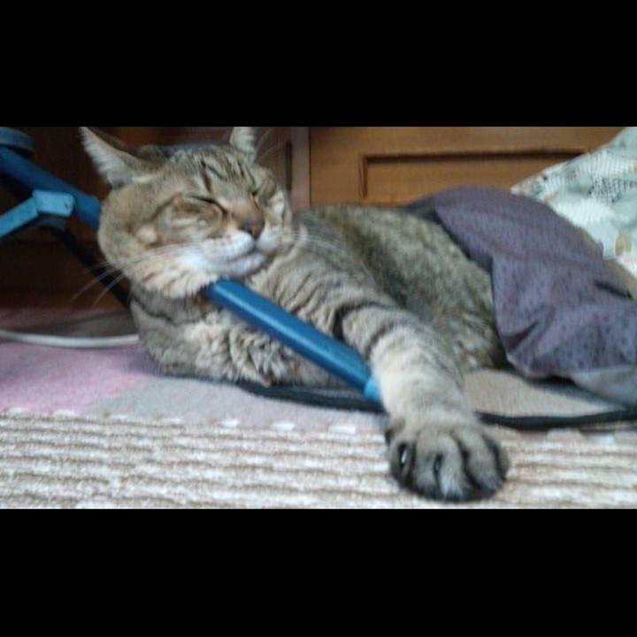 7f97ccdc 8791 449b b0f8 dc1bfd89637a 1713143597192