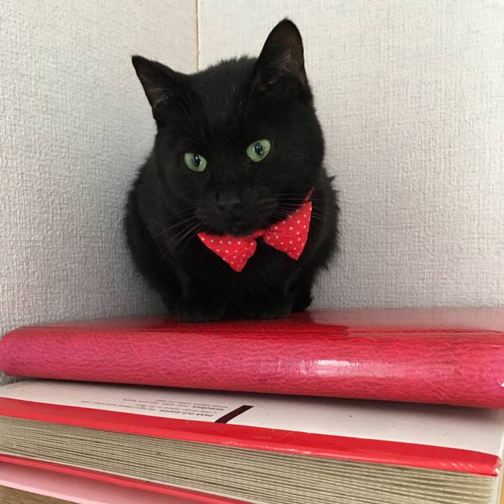 7f97ea98 330c 46df 95dc e9a3cf9c05cf 1551094404888