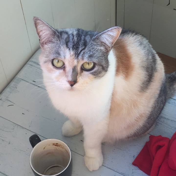 7f97f0e6 b062 4b3f 9b33 9b88737ae70d 1573894846401