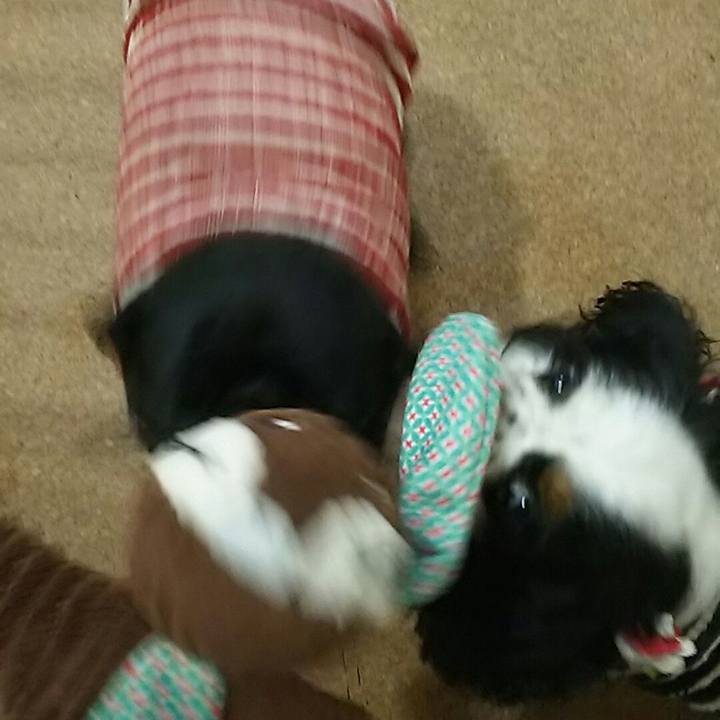 7f9813e8 2904 461c bf1e 84b77e46c901 1540741391033