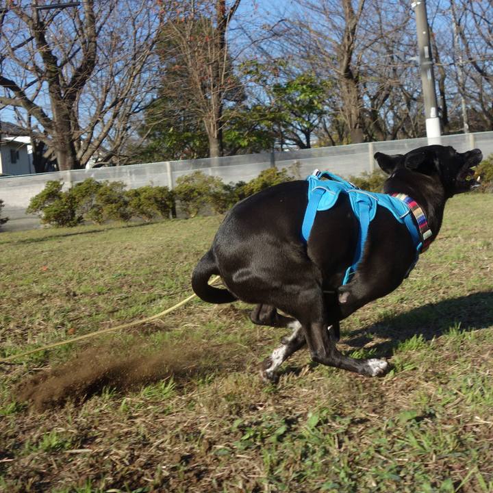 7f982f67 78c3 4a91 8b90 1bdc065e045b 1636681230495