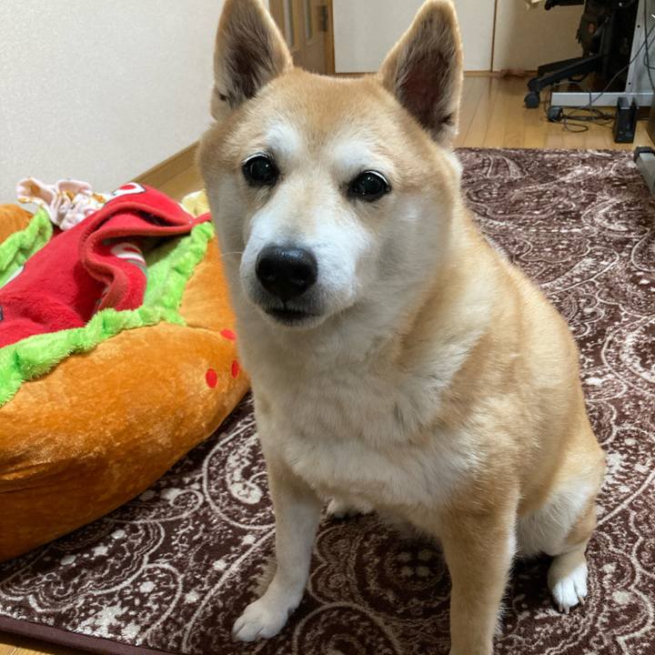 7f984aaa 6354 4258 bd97 29baf7e303d8 1615429971226