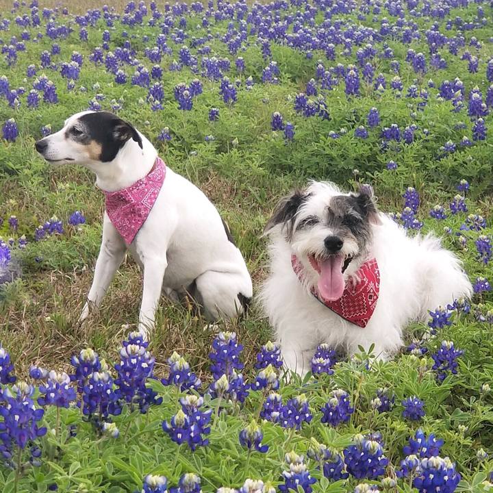 7f986a11 b0ca 47bf 8fb6 acf53fd2b823 1584139573904