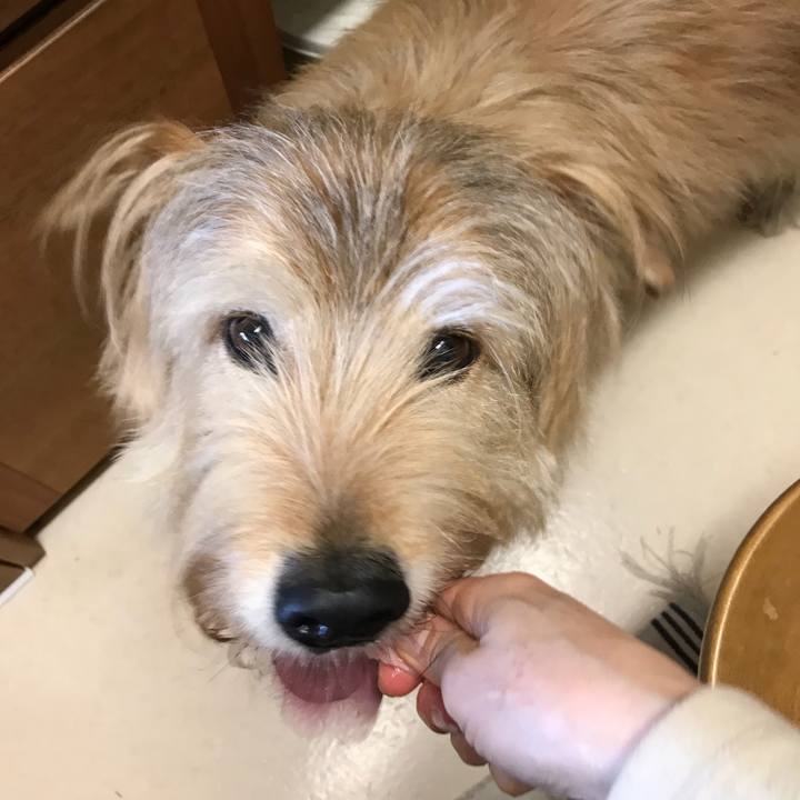 7f98759c 4dba 474c a613 639d5421b5f3 1554173491486