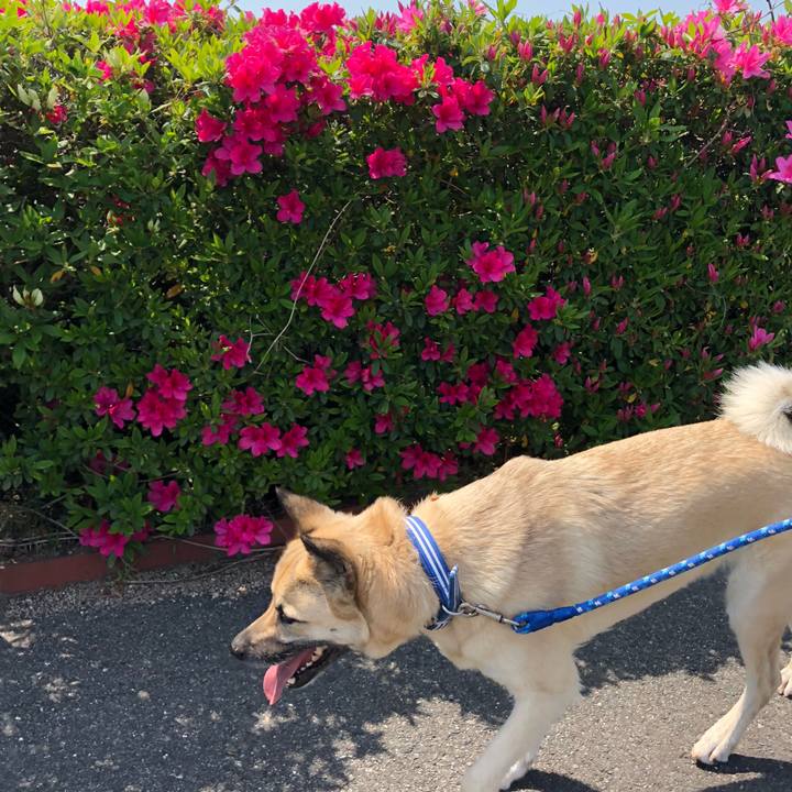 7f98dd0e 277f 400e 9a9a 266255f0dfb9 1555833173085