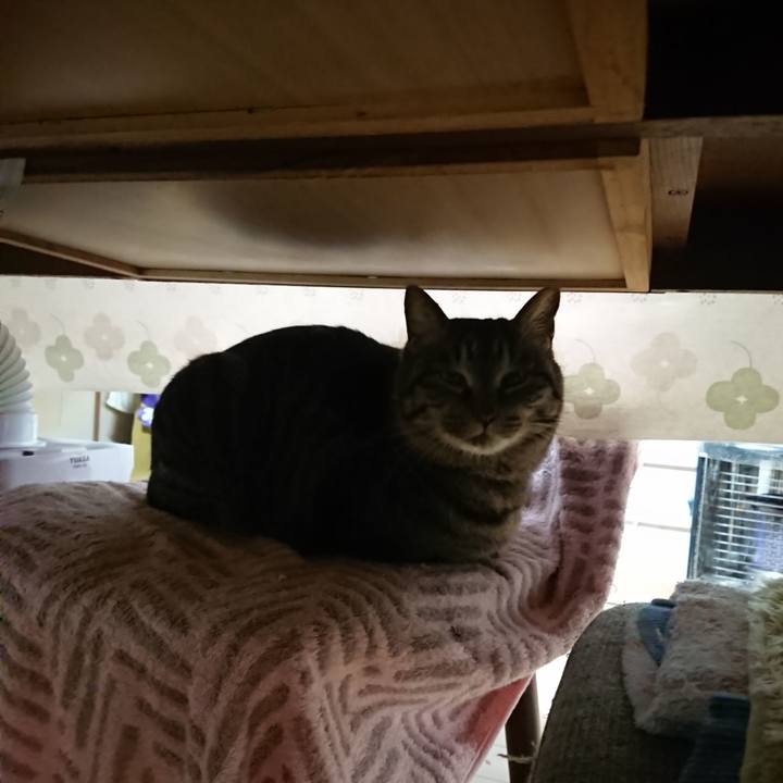 7f98ee09 9c2e 4ac7 a0f5 2d069cda0679 1641761723788