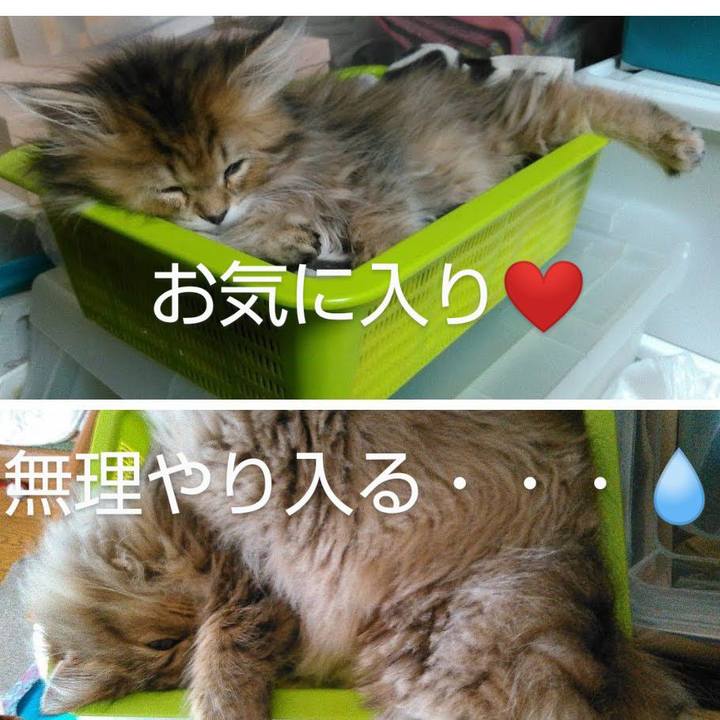 7f990638 6c03 4d98 89e5 ade00c13974e 1616553329580