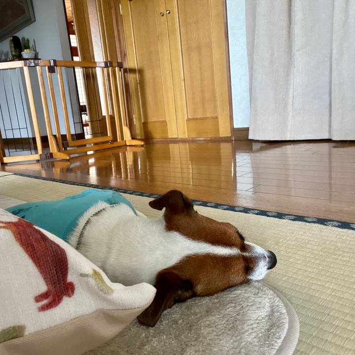 7f991e41 995a 4d6f 984a 00dd7a739cc2 1628489693948