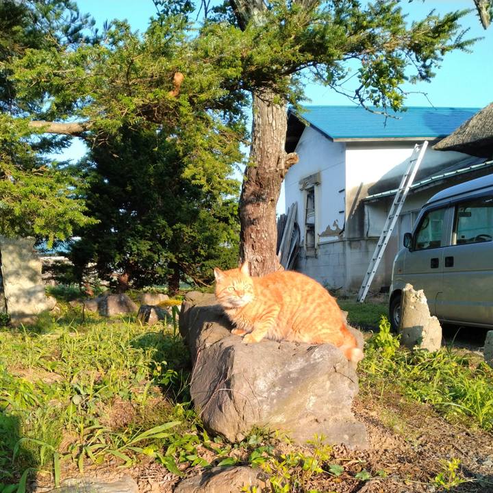 7f993427 d006 447b bc88 c65cd1694e52 1689978502423