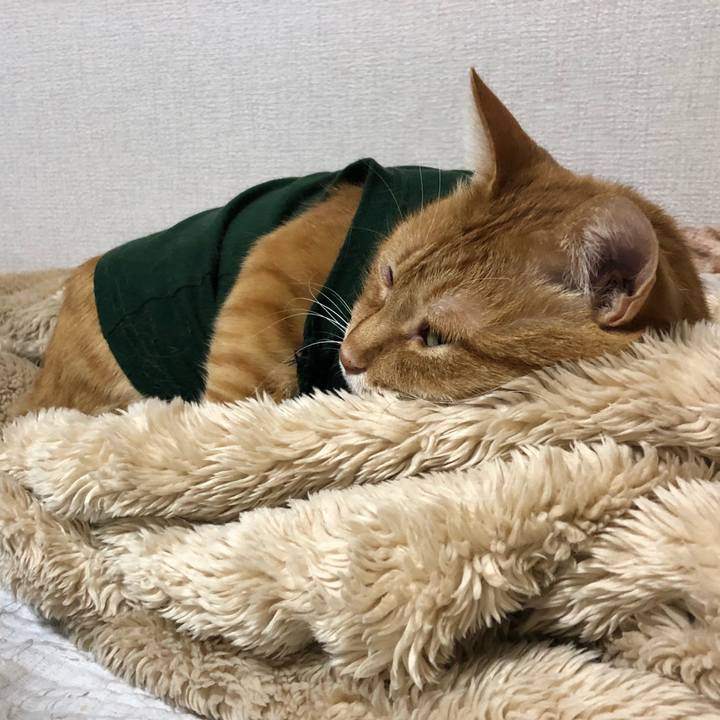 7f993b13 f175 4640 b16d bb8825f493f4 1636720772196