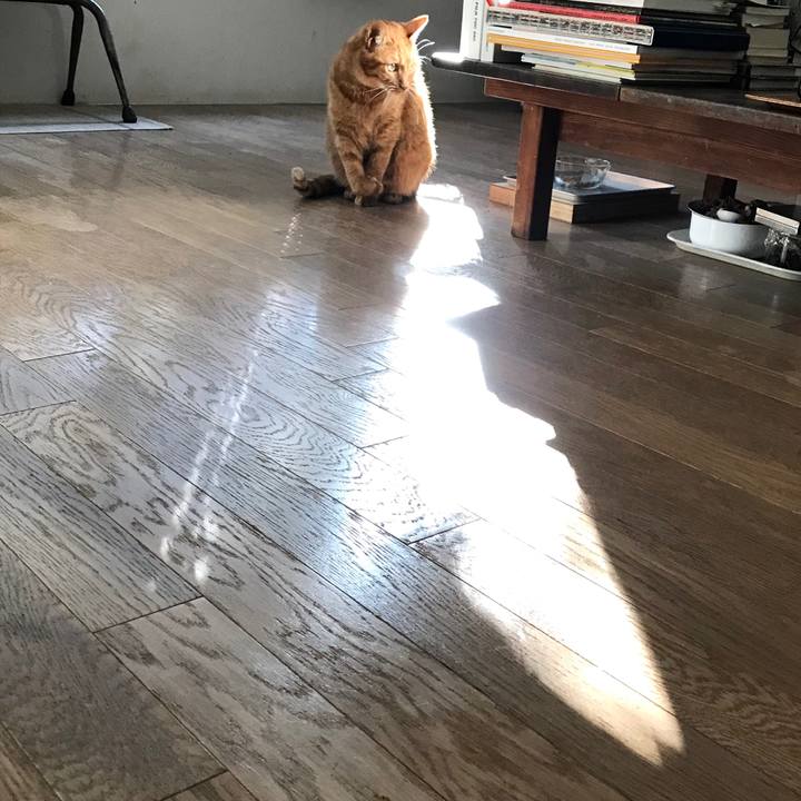 7f99549a e40b 4841 b998 5168fe455685 1512974145861