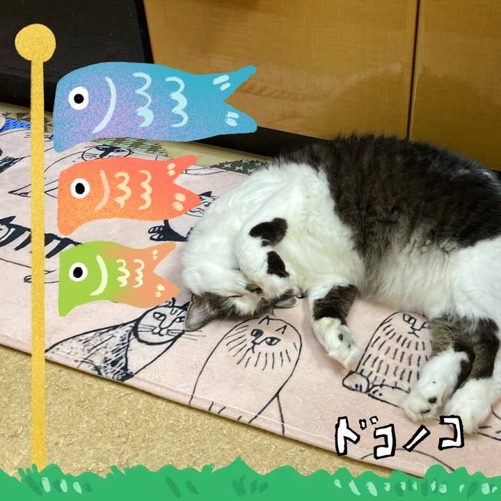 7f999275 5d79 47b0 b8fa 8334c8a5e5f9 1714890247082