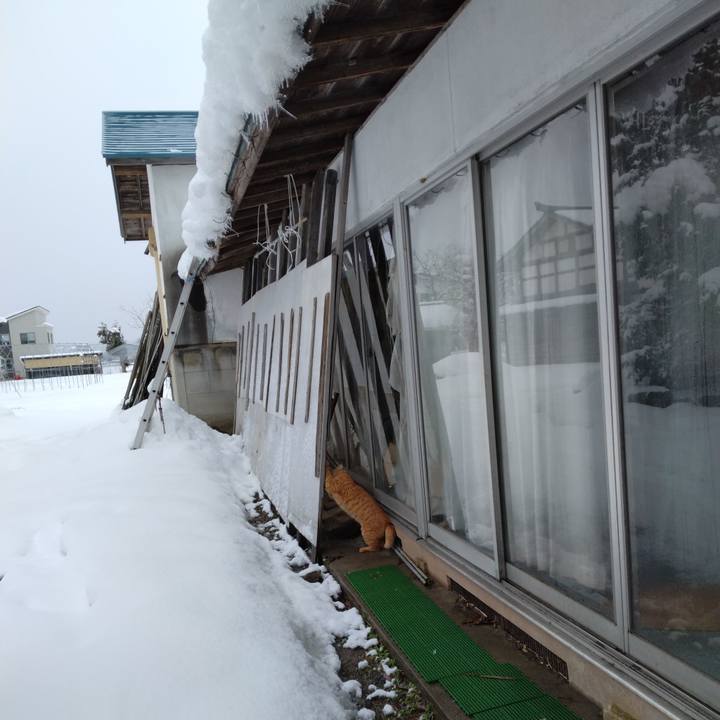 7f9998cf e122 49de b008 18745cd83364 1671342471684