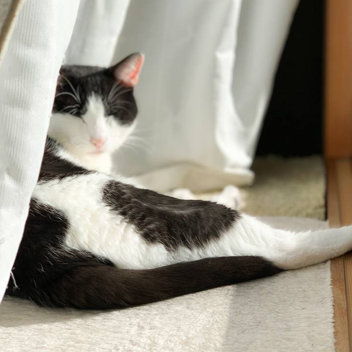 7f99b16b fc5b 45f4 8b85 58271cfd339e 1575250054592