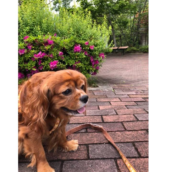 7f99c3ba 0354 4ccf 8822 c61c2b5aa554 1651442960375