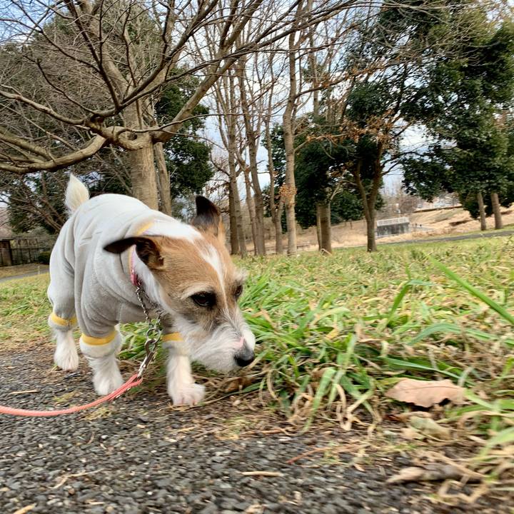 7f9a01c3 b3f9 4545 a328 eaac52d7ea0c 1612773100166