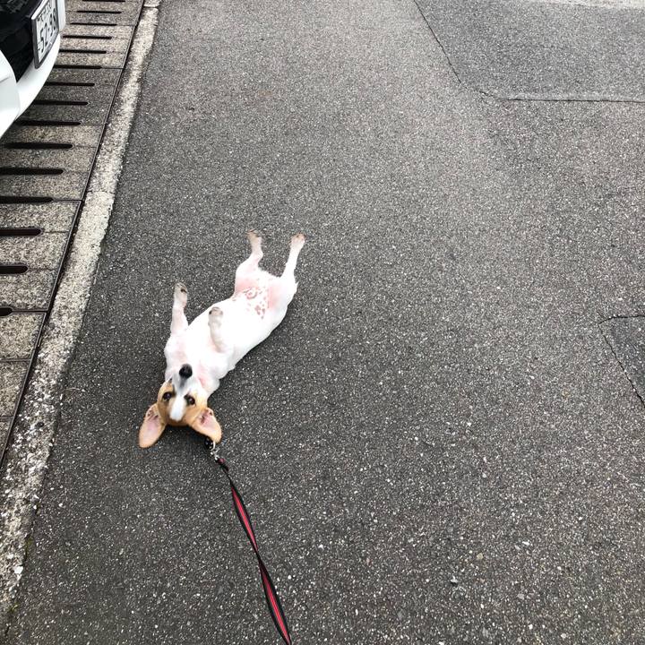 7f9a1993 ee98 49e7 a6f1 d0decf568160 1563323958424