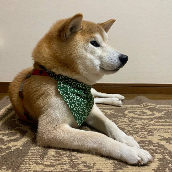 7f9a236d ddc9 4e1f 9769 d1970d2bd6e0 1674468941321