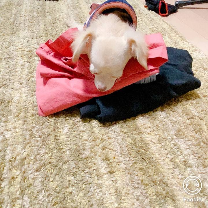 7f9a411c 2b18 4edf bd7b 7635e4d0fa46 1598347120988