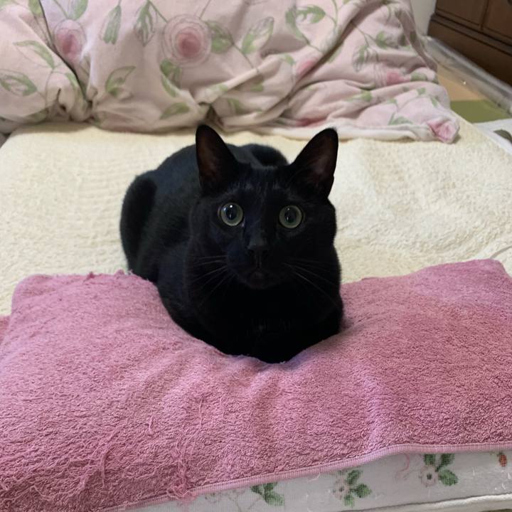 7f9a9e50 8693 4b85 962e 7799f55fbb58 1647385717609