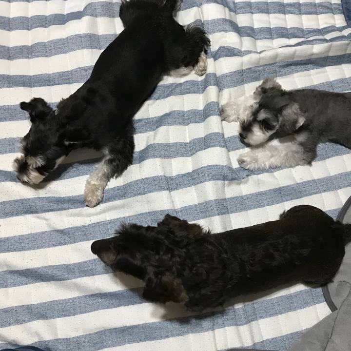 7f9a9f3d 2822 40cf 8865 d84e12aa8a2b 1568127198107