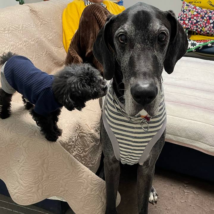 7f9aa917 7e75 4f62 8cfb a701b8fcf28d 1616894472853