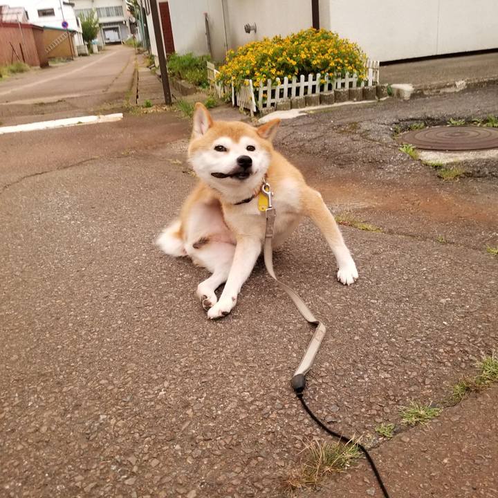 7f9ac992 120c 439f b87c 71eeb046fdea 1564739645645