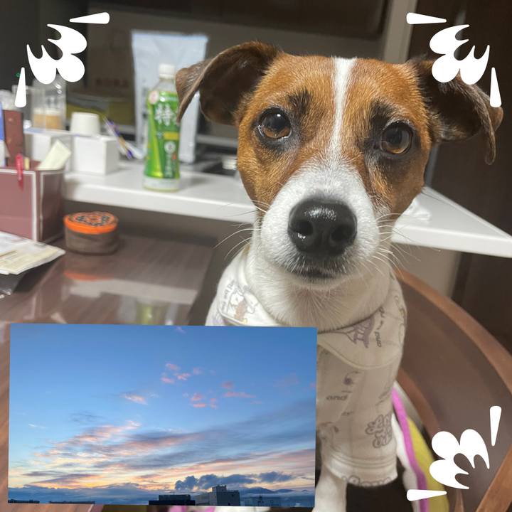 7f9ae9fd e7dd 4aef b0c9 e19a24bb572d 1643951244584