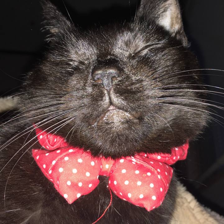 7f9aed9e 4e36 4136 97a7 19c9ca7b39a7 1553027143300