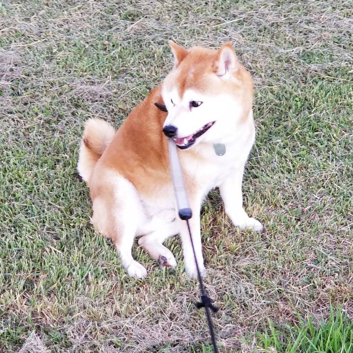 7f9b0dc3 96cd 4182 b484 eeb0c2056558 1623227854617