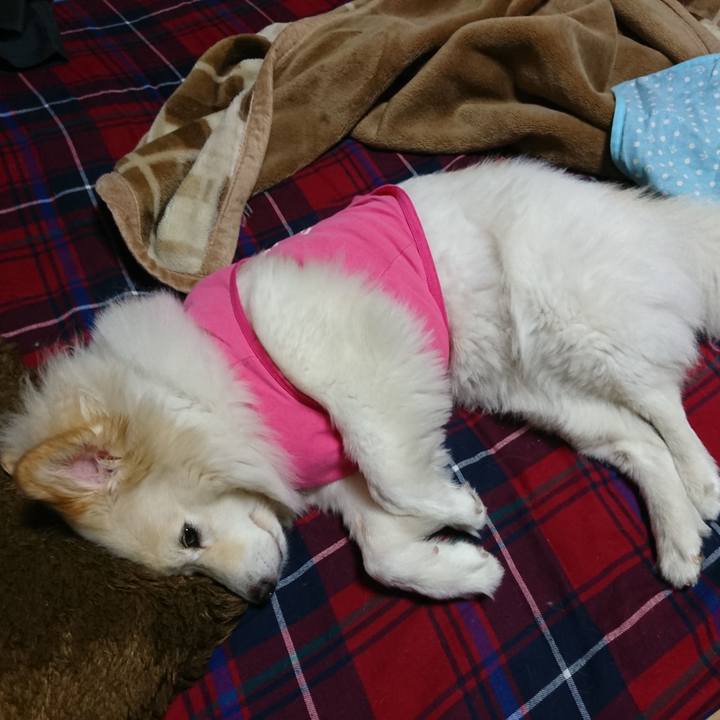 7f9b70a4 0540 46f1 aa75 7ca2c21f273c 1530823015446