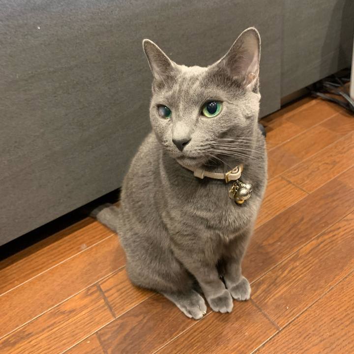 7f9b8b67 9b4f 4cf3 afee 7b330af689a3 1670153397925