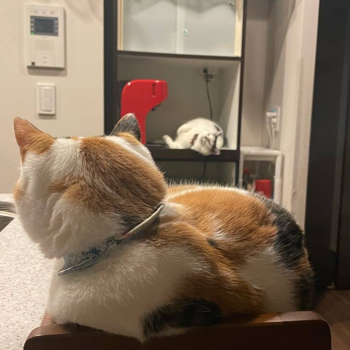 7f9ba534 59c6 4b48 b4d2 b2c47b9975dd 1702113168678