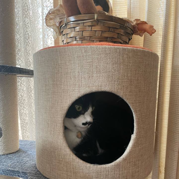 7f9ba5e8 8d40 454c 96f8 3c641a83f100 1743727154750