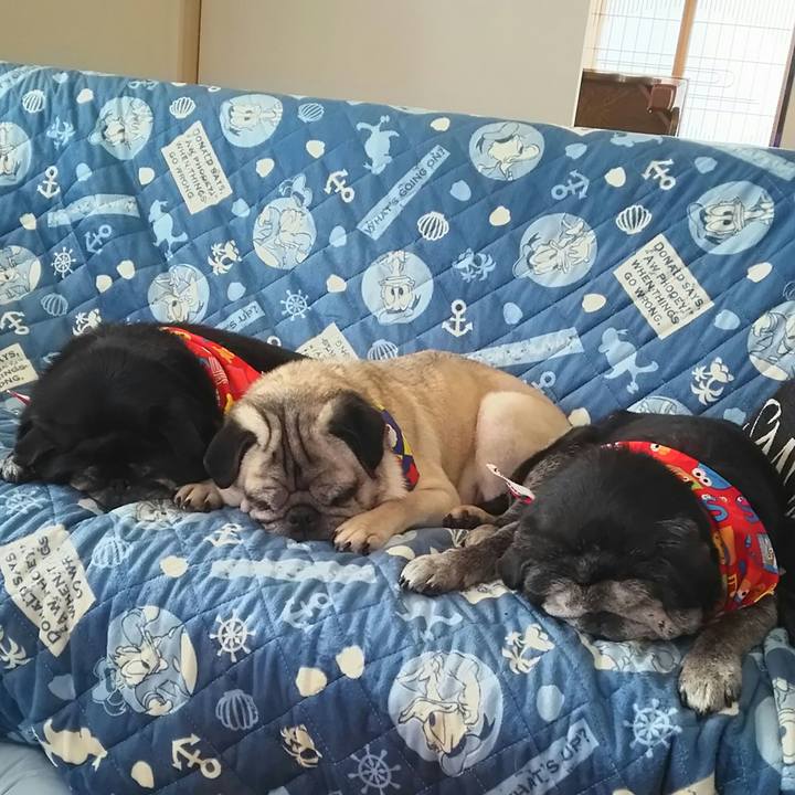 7f9bae2c 044b 445c b7e5 d50b59808064 1533197355805