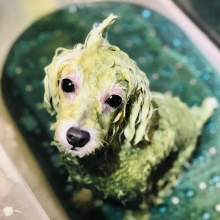 7f9bbc3a e409 4038 97fe f633a3bd705f 1537089578130