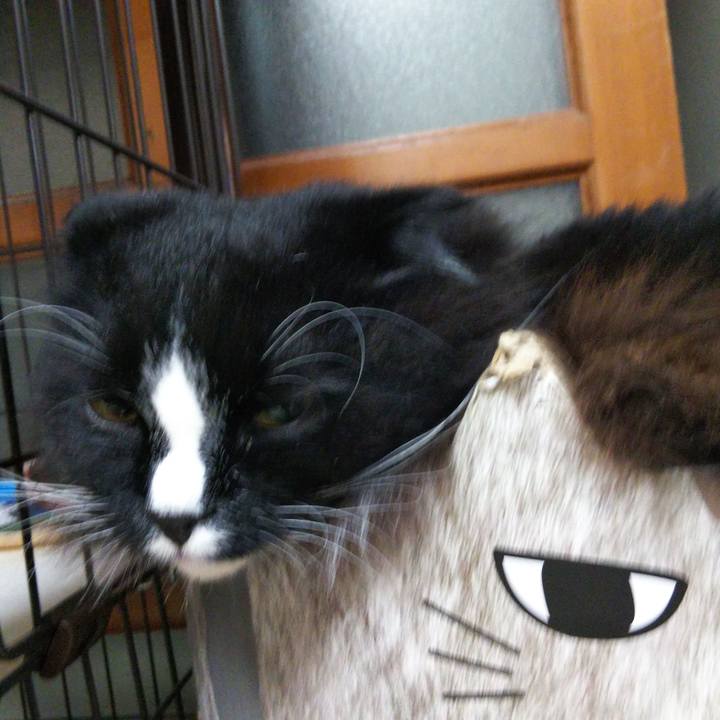 7f9bcc2d 4b87 4cc6 9d94 fa6240a58db6 1655820428413