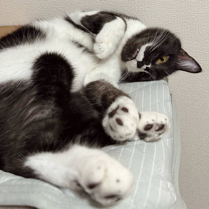 7f9c0b8e a2c2 4562 9958 caa3619e22bd 1757497475538