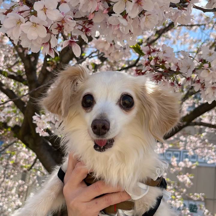 7f9c29fe 1093 4504 8fff eb022520327b 1712913306387