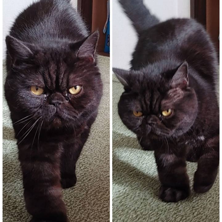 7f9c38cc 0ca6 417a b221 fc43d95cd0d7 1637801012264