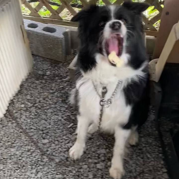 7f9c5afe b807 4c5f be83 89a1756871ae 1631229958312