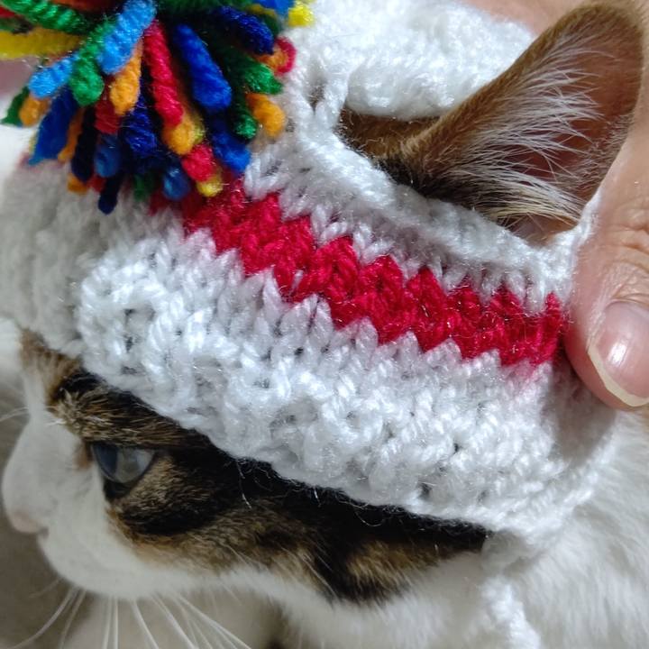 7f9c5e8c 2175 401b 96a2 f3a2f5402ae7 1625065810330